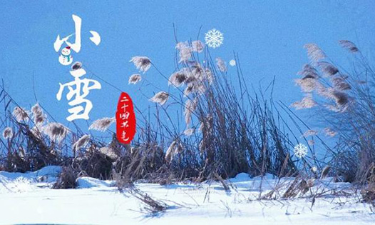 今日小雪丨天地初寒，愿歲月安暖